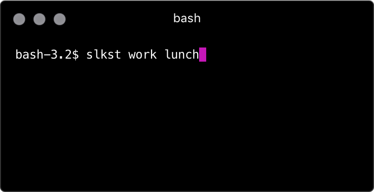 screenshot of terminal running slkst app